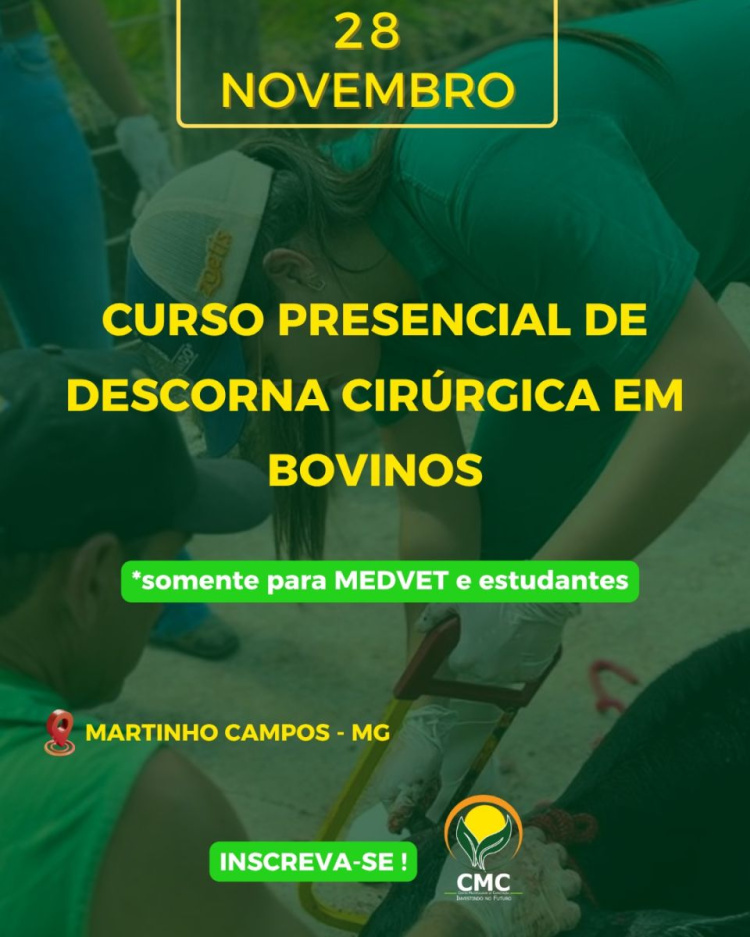 Curso presencial de descorna cirúrgica em bovinos