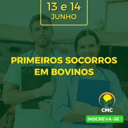 Capa Curso