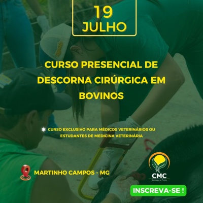 Curso presencial de descorna cirúrgica em bovinos