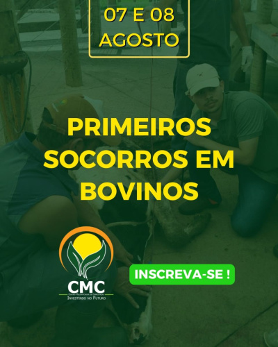 Primeiros socorros em bovinos
