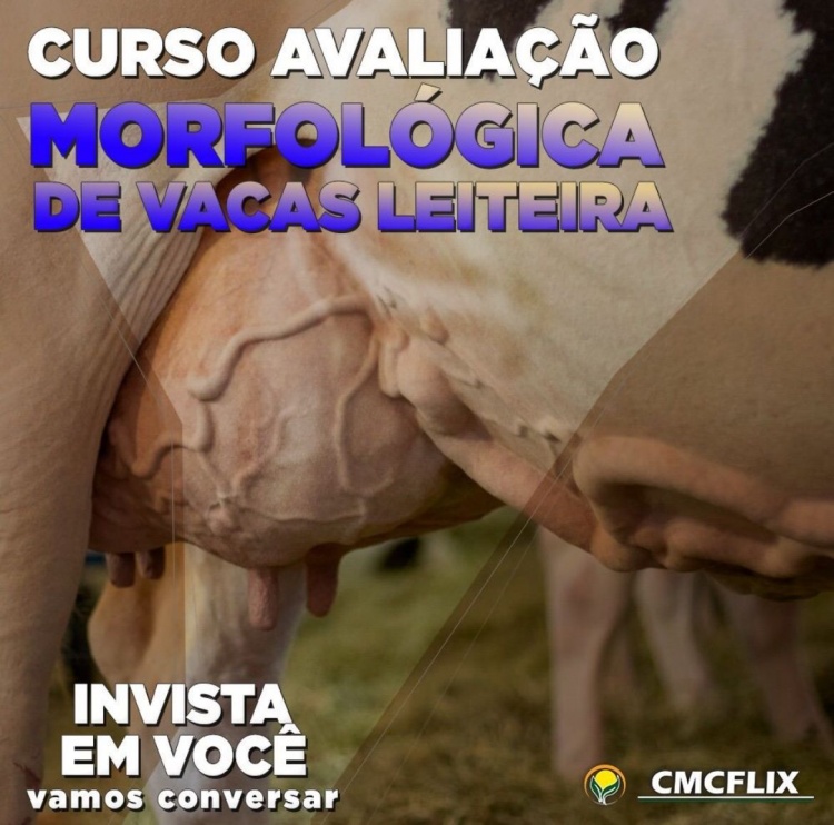 Avaliação Morfológica de Vacas Leiteiras.