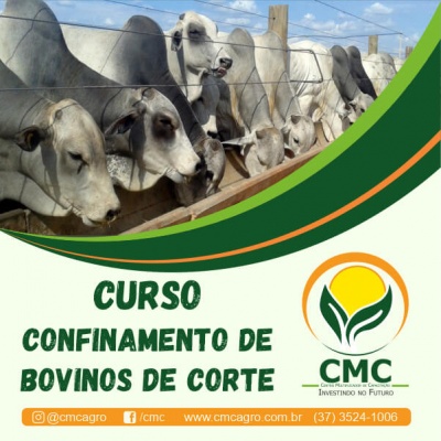 CURSO ON LINE - Confinamento de Bovinos de Corte