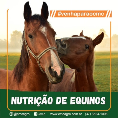 CURSO ON LINE - Nutrição de Equinos