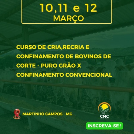Capa Curso