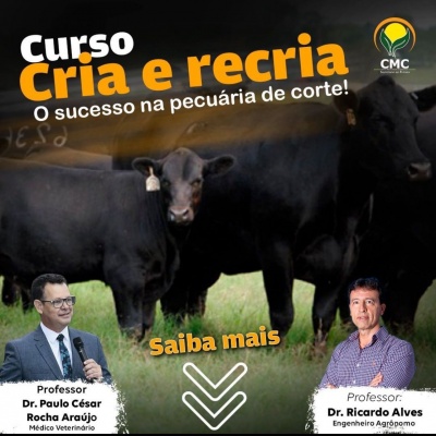 Cria e Recria de Bovinos de Corte