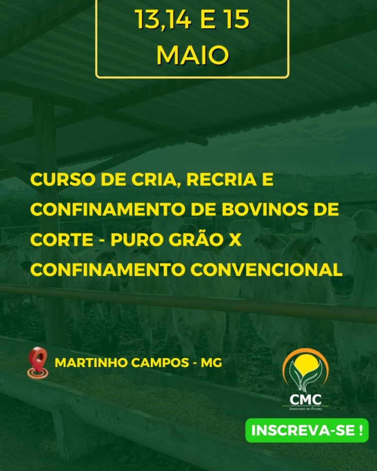Cria, recria e confinamento de bovinos de corte/ confinamento convencional X puro grão – Presencial