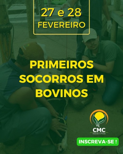 Primeiros socorros em bovinos