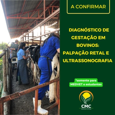 Curso presencial de Diagnóstico de gestação em bovinos / Palpação retal e ultrassonografia