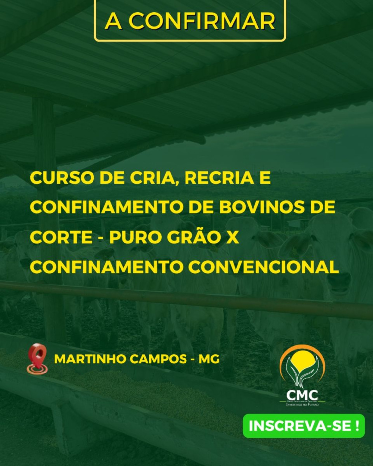 Cria, recria e confinamento de bovinos de corte/ confinamento convencional X puro grão – Presencial