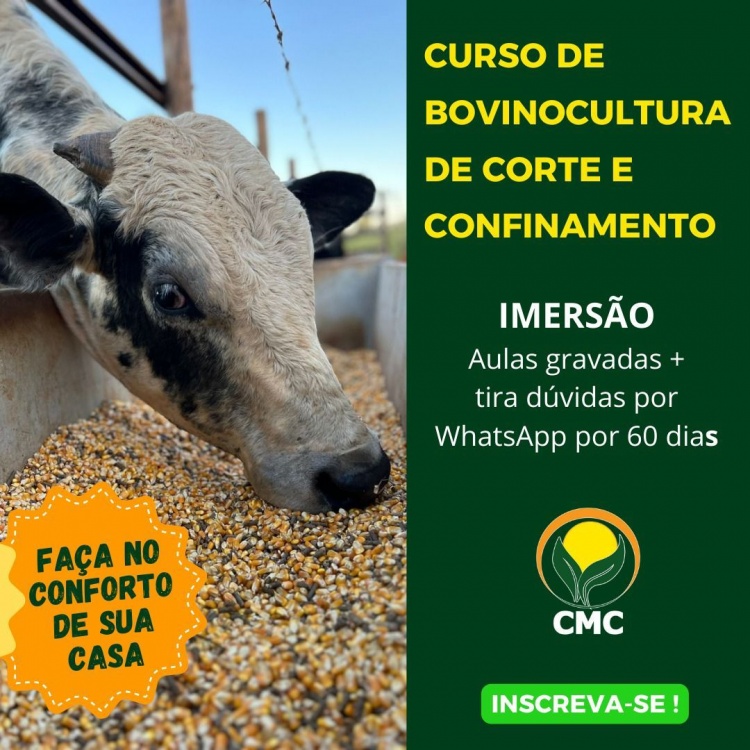 Curso remoto de confinamento de bovinos de corte - GRAVAÇÃO DO PRESENCIAL