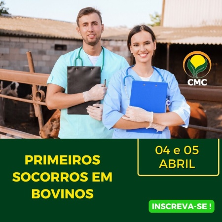 Capa Curso
