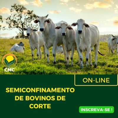 SEMICONFINAMENTO DE BOVINOS DE CORTE