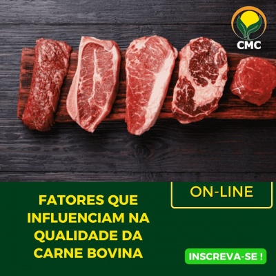 Fatores que influenciam na qualidade da carne bovina