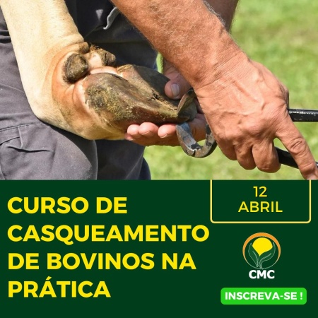 Capa Curso