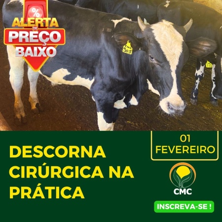 Capa Curso