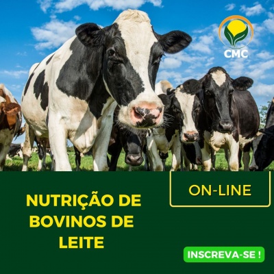 Nutrição de bovinos de leite on-line