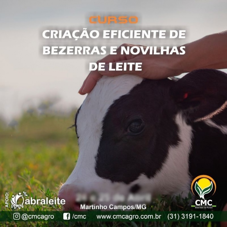 Criação Eficiente de Bezerras e Novilhas
