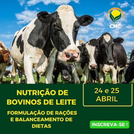 Capa Curso