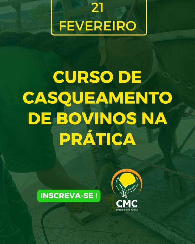 Curso presencial de Casqueamento de bovinos