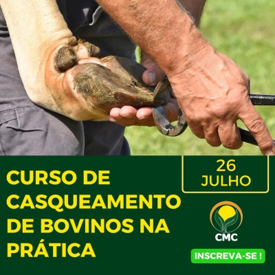 Curso presencial de Casqueamento de bovinos