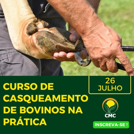 Capa Curso