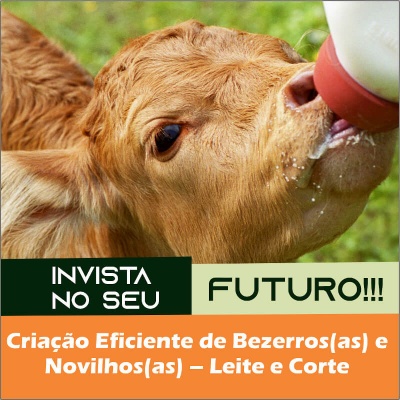 CURSO ON LINE - Criação Eficiente de Bezerros(as) e Novilhos(as) - Leite e Corte